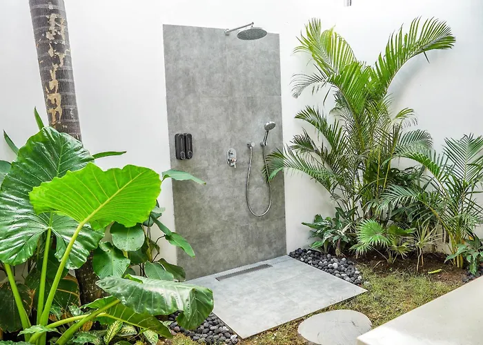 Villa New - Rene In Nature Ubud