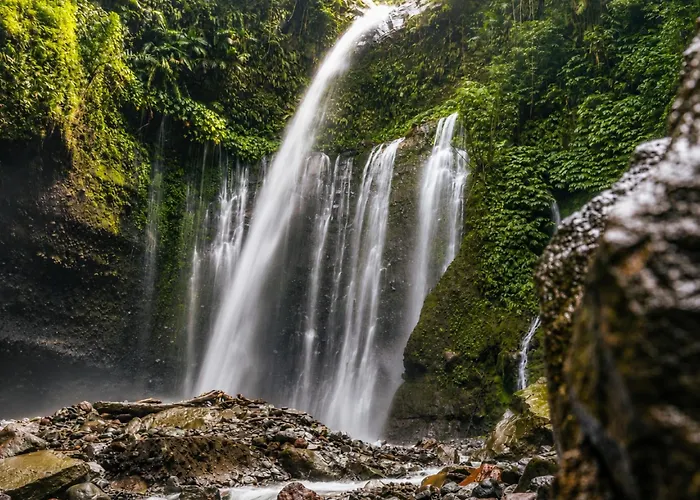 New - Rene In Nature Ubud